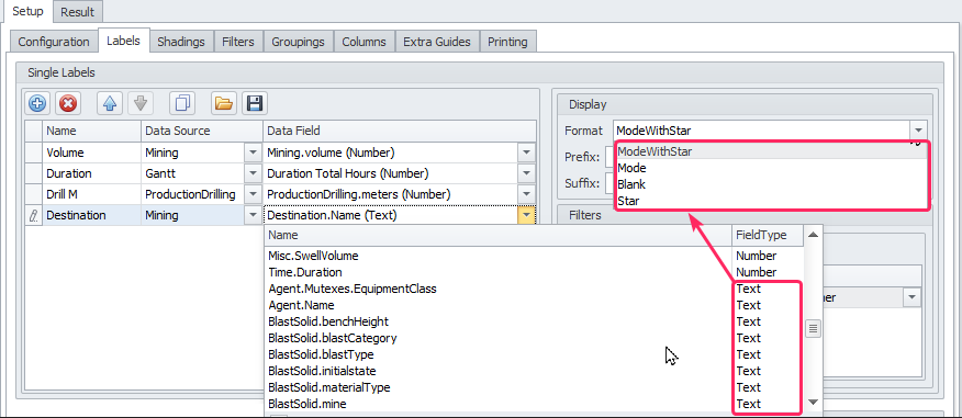 Display formats for Text fields