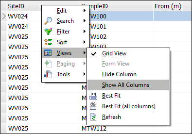 The Show All Columns option on the right click menu
