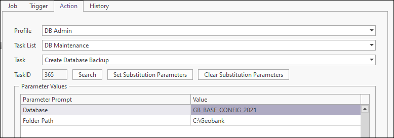 The Action tab with the Parameter Values displayed