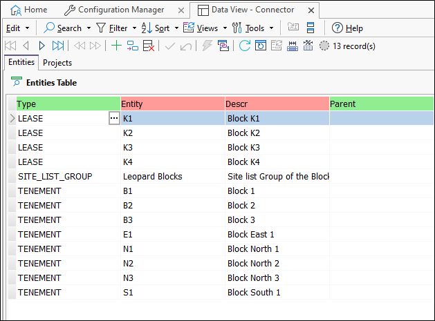 The Project and Entity Data View