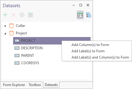 The Field List menu for Form Datasets