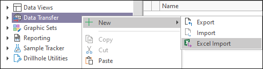 The New Excel Import menu option