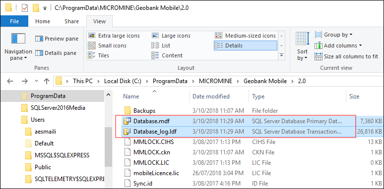 Database Backup
