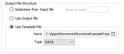 The Output File Structure section of the Import Text File dialog