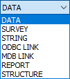 The Type menu options
