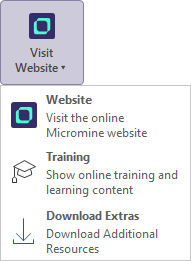 The Visit Website options on the Project About backstage menu