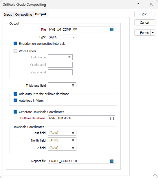 The Output options on the Drillhole Grade Composite form