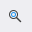 The Magnifier button