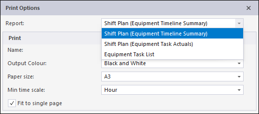 The Report options in the Print Options dialog